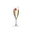 Arcoroc Princesa Champagne Glass 15cl