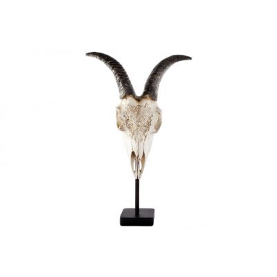 Cosy @ Home Scull Goat Nature Resine 42x35x12cm