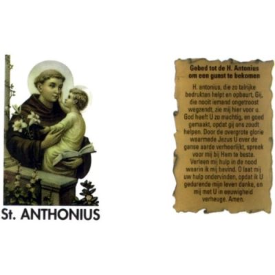 Noveenkaars Wit Antonius 01