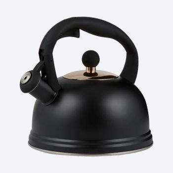 Typhoon Otto black stove top kettle 2L