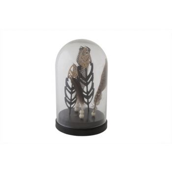 Cosy @ Home Glass Cover W.feathers  D16xh26cm