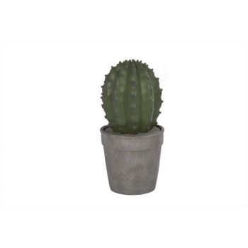 Cosy @ Home Green Cactus In Gray Pot D12xh24cm