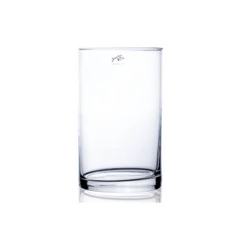 Sandra Rich Cylinder Vase Transparent D15xh25cm Glas