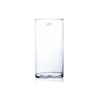 Sandra Rich Cylinder Vase Transparent D15xh30cm Glas