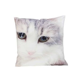 Cosy @ Home Cushion Cat Pastel Green 40x40xh6cm