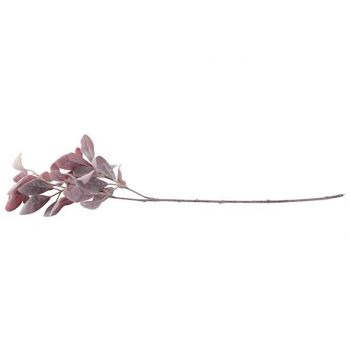 Cosy @ Home Leafs Branch Flocked Pink 70cm
