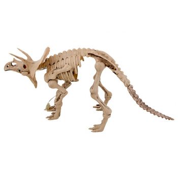 Cosy @ Home Dinosaurus Skeleton Animation 58x17xh25c