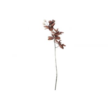 Cosy @ Home Branch Phalaenopsis Brown 12x7xh66cm Syn