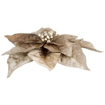 Cosy @ Home Clip Poinsettia Taupe 18x18xh4cm Synthet