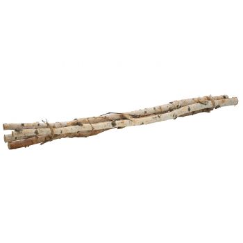 Cosy @ Home Deco Branches Nature set 6x6xh80cm Wood