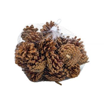 Cosy @ Home Pine Cones 300gr Nature 5x5xh5cm Wood