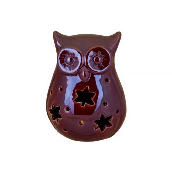 Cosy @ Home Owl Lustre Light  Incl2 Button Bat
