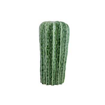 Cosy @ Home Cactus Glazing Green 33x33xh33cm Round S