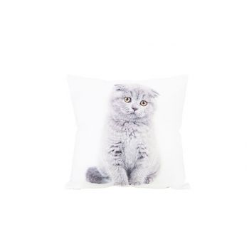 Cosy @ Home Cushion Cat Grey 40x40xh10cm Polyester