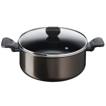 Tefal Easy Cook & Clean Cooking Pot D24cm