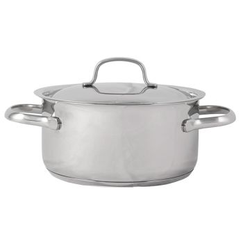 Daily Cooking Pot With Lid D18xh9cm Stainless Steel