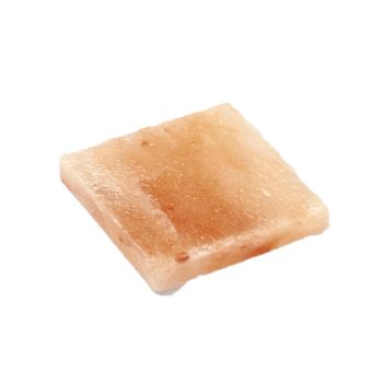 Bisetti saltplate square 10x10x1.5cm